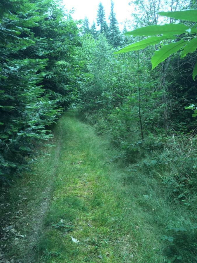 Foret Enchantee De Bourgogne La Celle-En-Morvan Zewnętrze zdjęcie